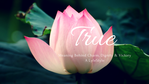 Charm, Dignity & Victory: A Lifestyle Blog By Paul Travis